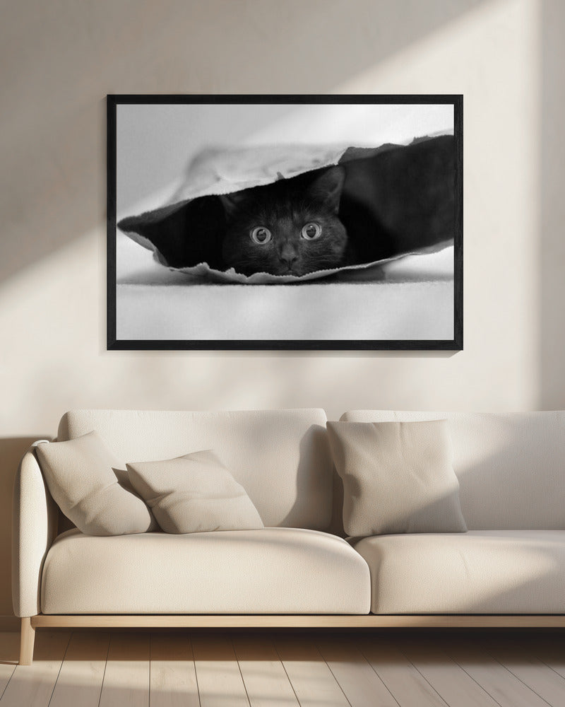 Cat in a bag | Canvas