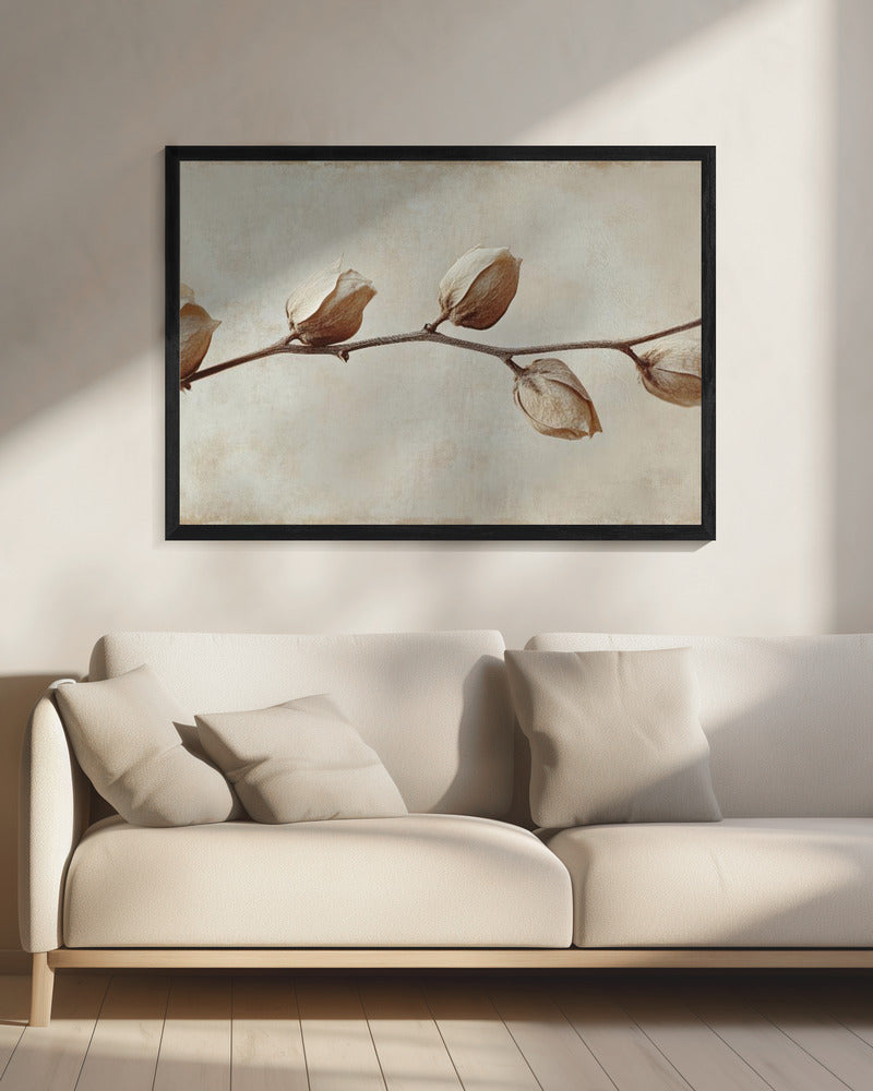 Faded Elegance | Canvas