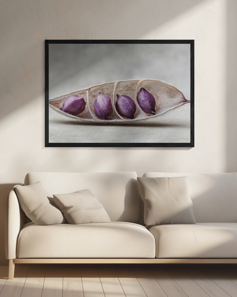 Purple Pod Harmony | Canvas