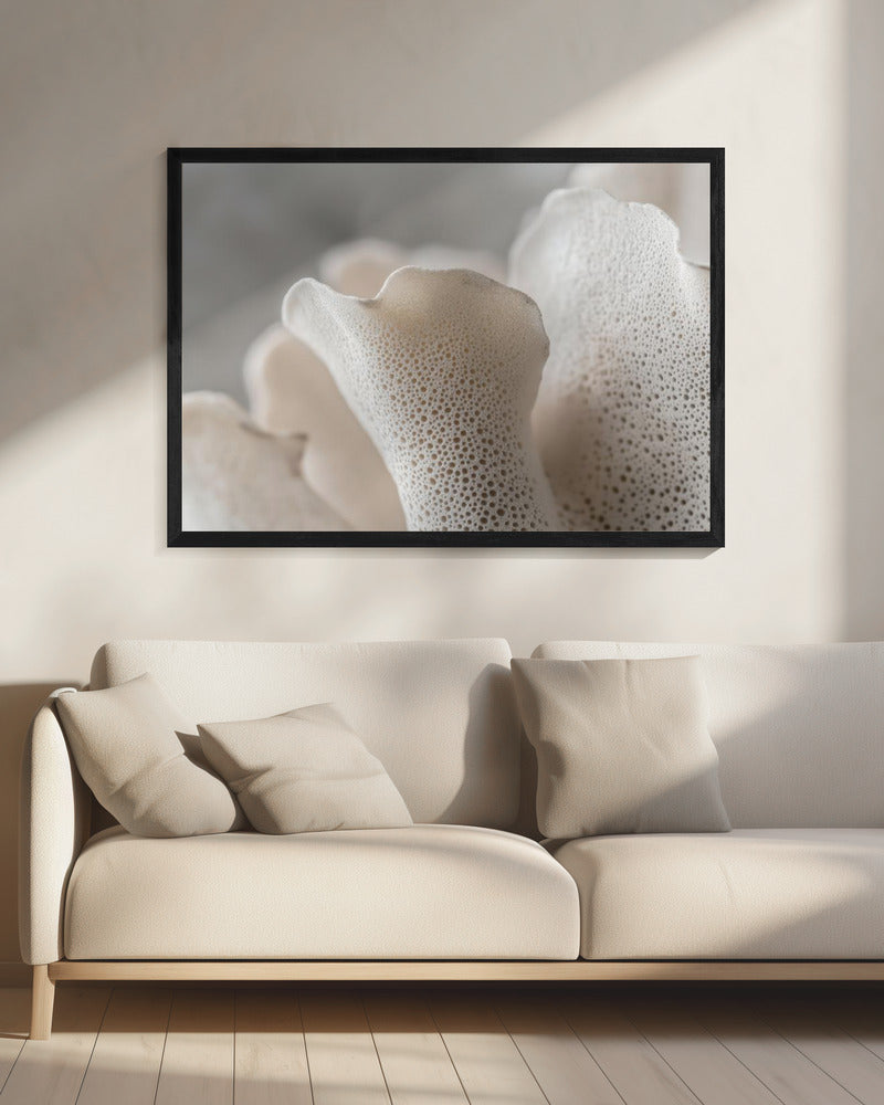 Porcelain Petals | Canvas