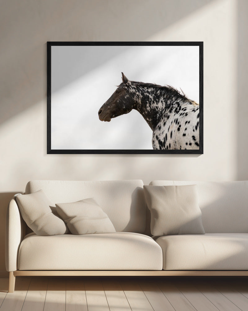 Andromeda 4 | Canvas