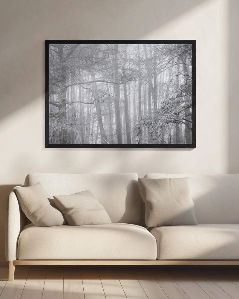 Foggy Winter Morning 2 | Canvas
