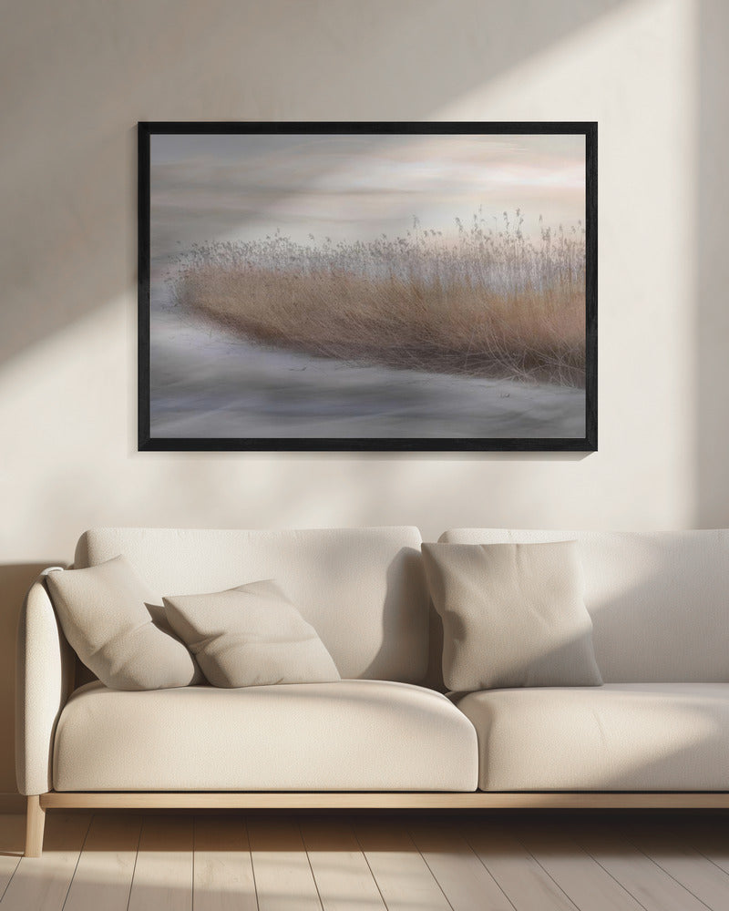 Winter Reed | Canvas