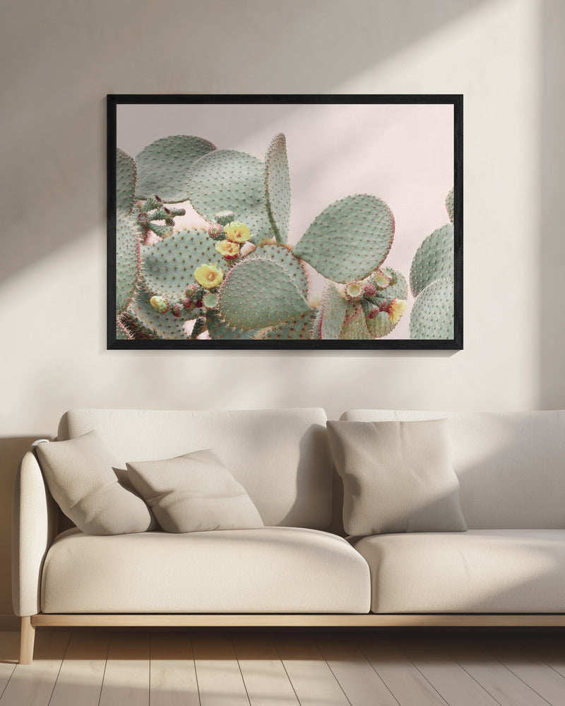 Blooming Cactus | Canvas