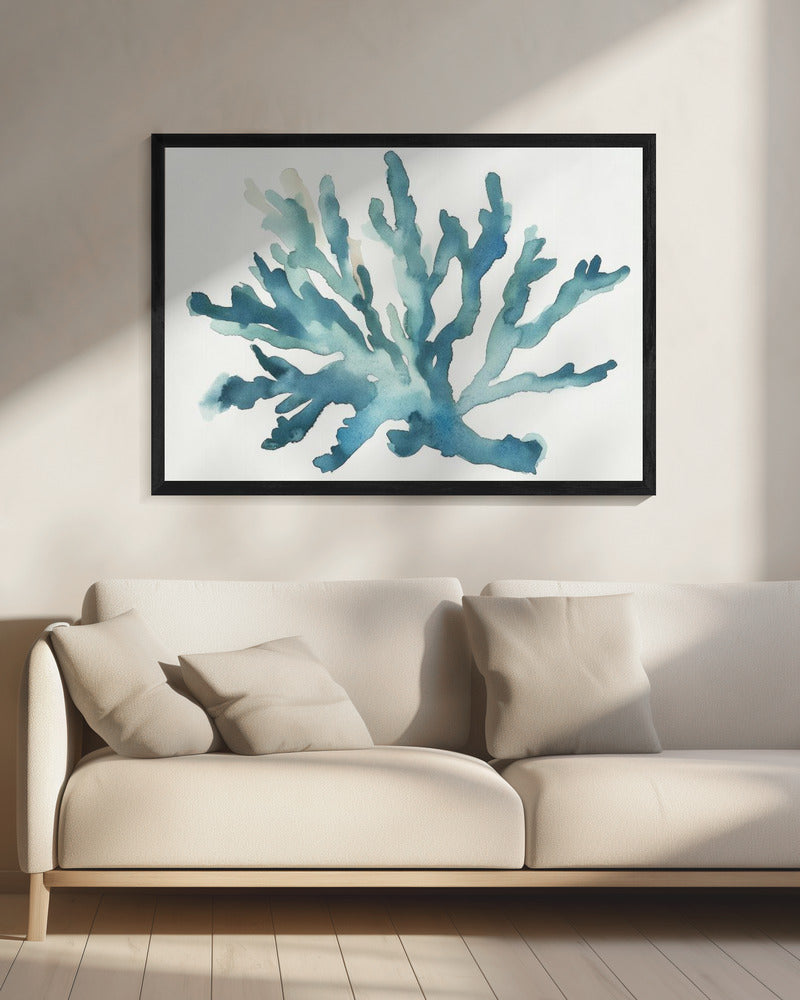 Turqoiuse Coral | Canvas