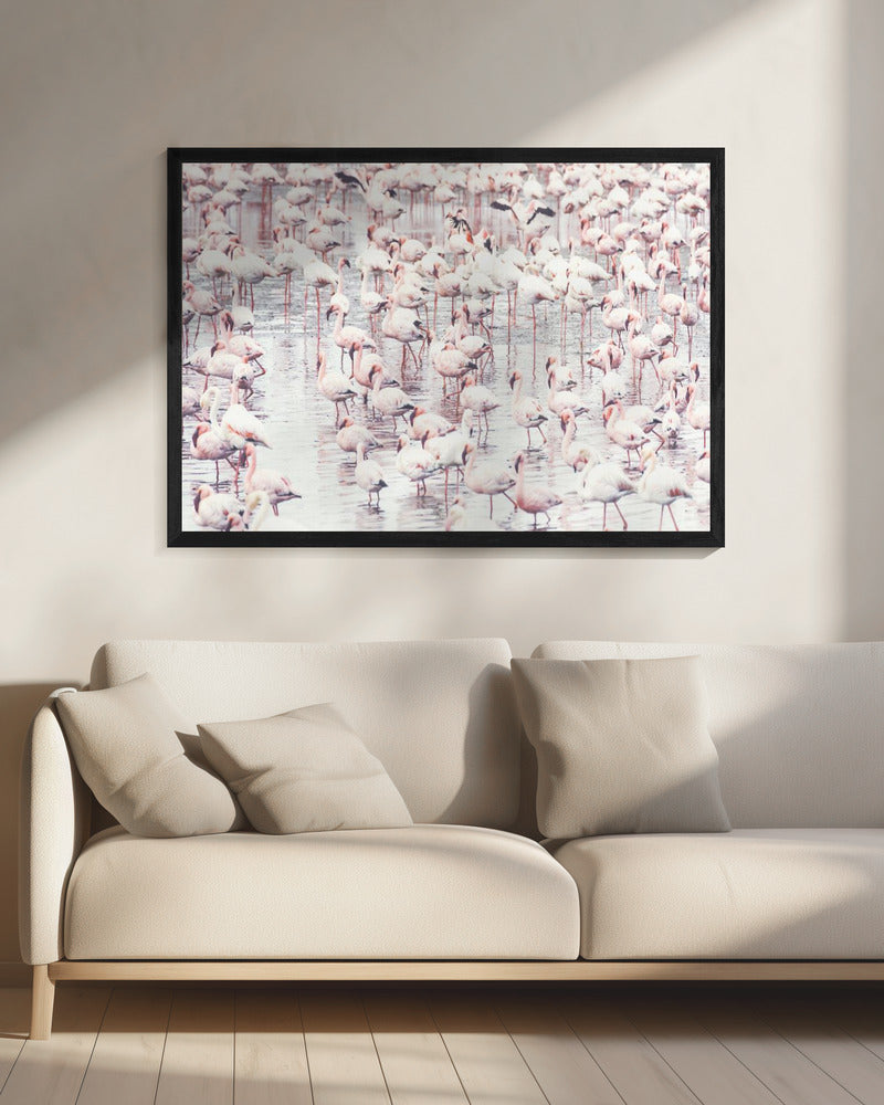 Flamingos | Canvas