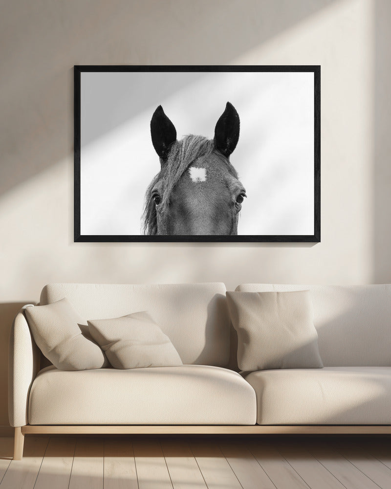 Peeking Horse | Canvas