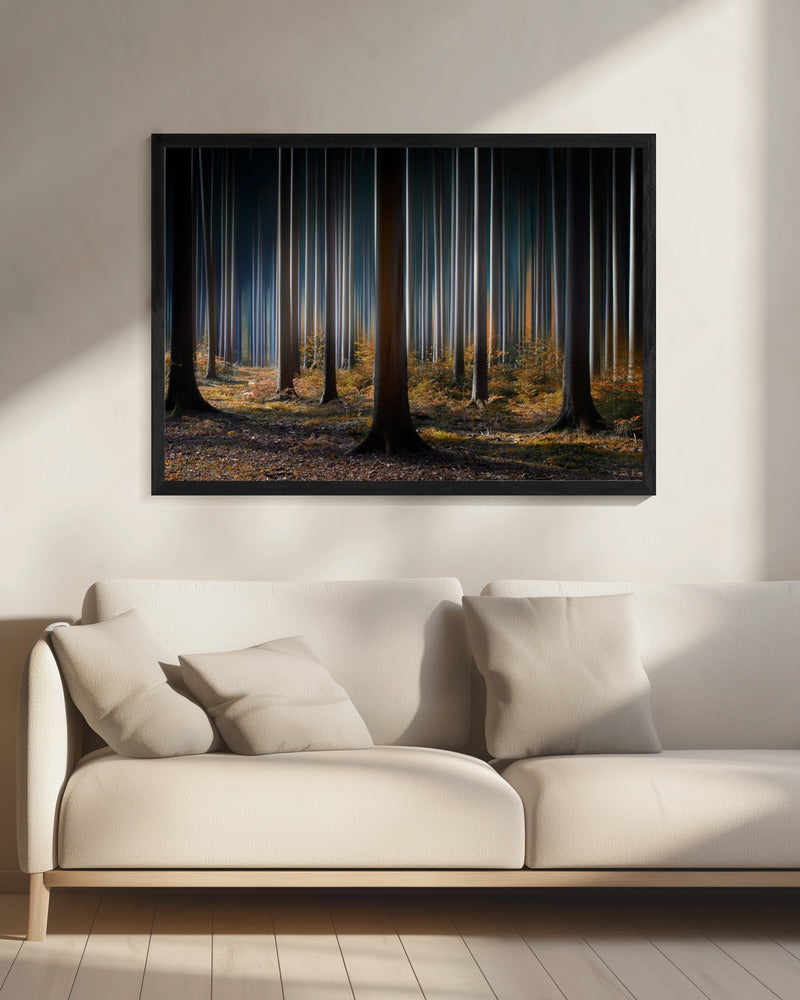 Mystic Wood | Canvas