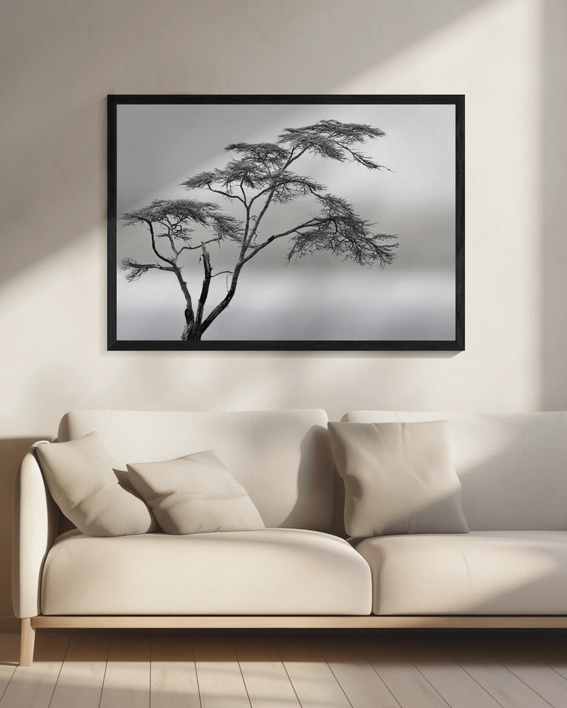 a very long story | Canvas