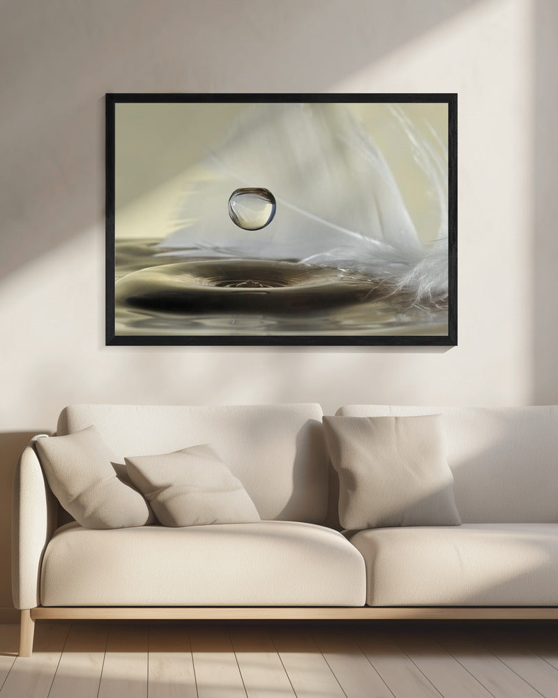 Feathers drop | Canvas