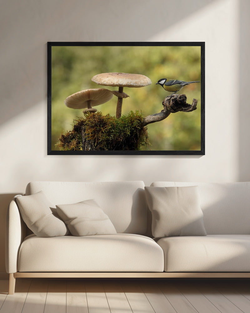 My small part of the world | Canvas