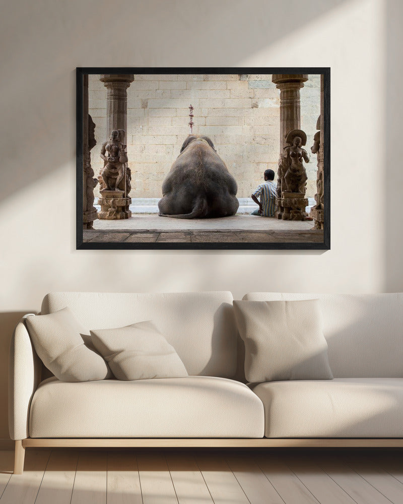 The Elephant & its Mahot | Canvas