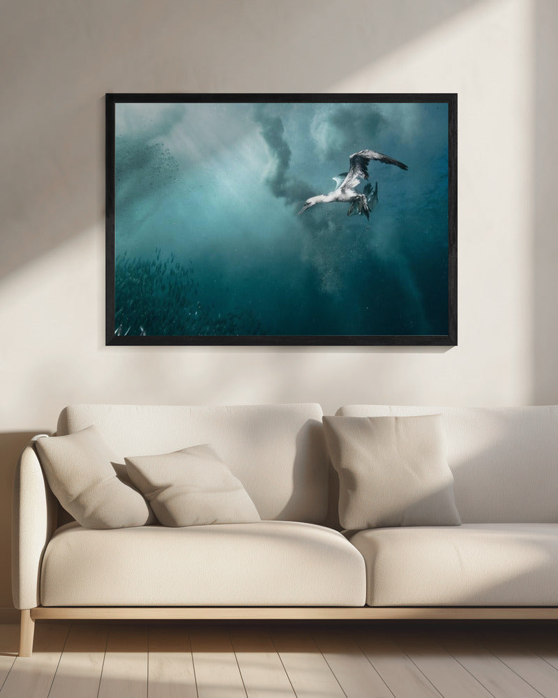 plunge diver | Canvas