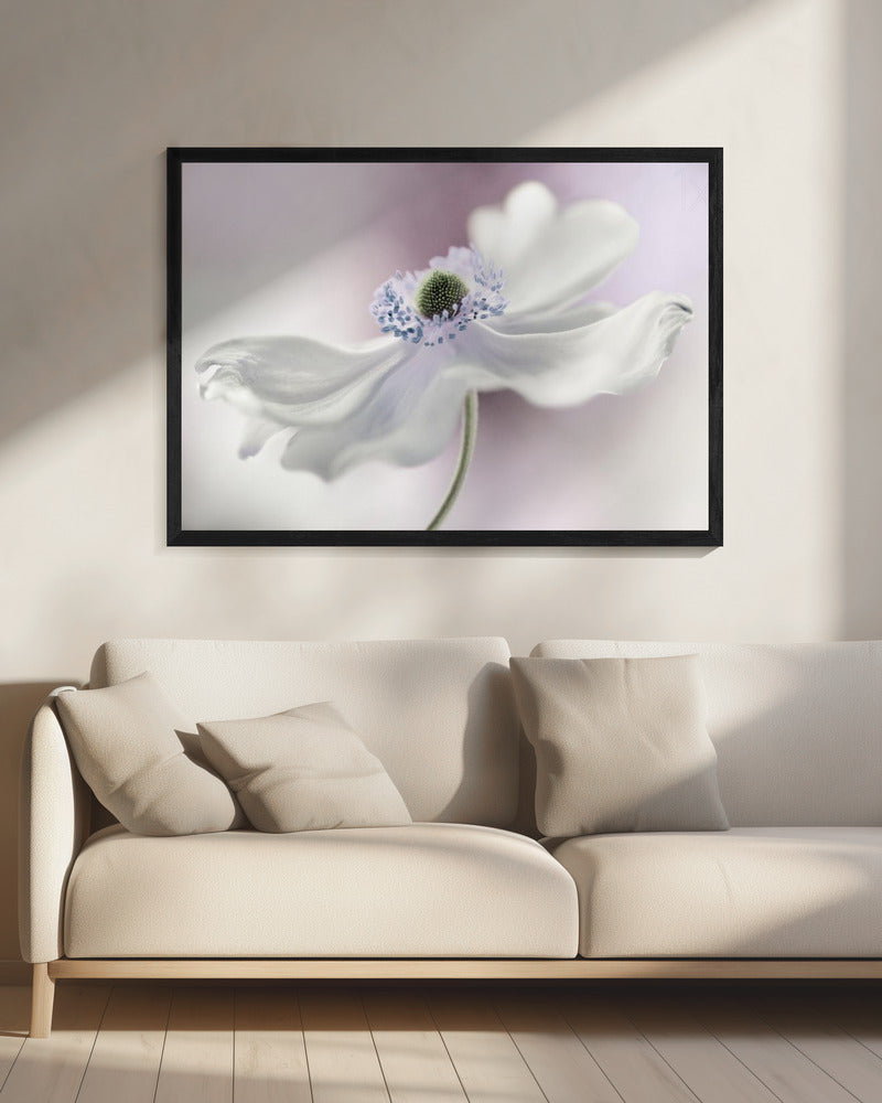 Anemone breeze | Canvas