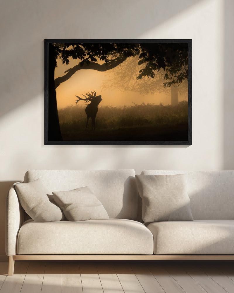 the love call | Canvas