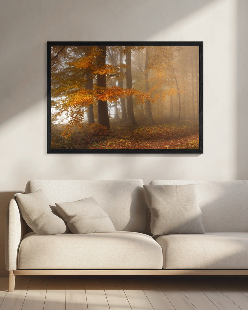 Edge of the woods | Canvas