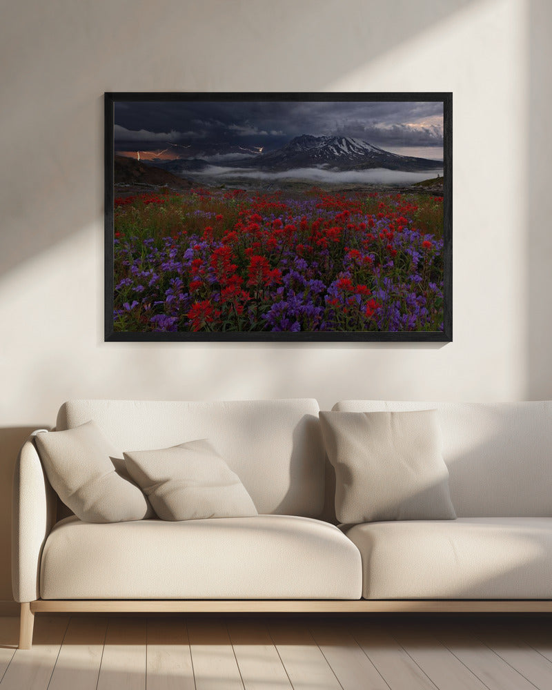 Apocalypse Now | Canvas