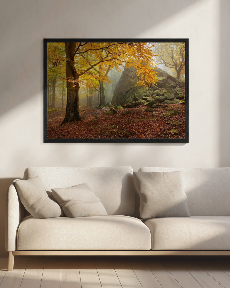 Autumn forest | Canvas