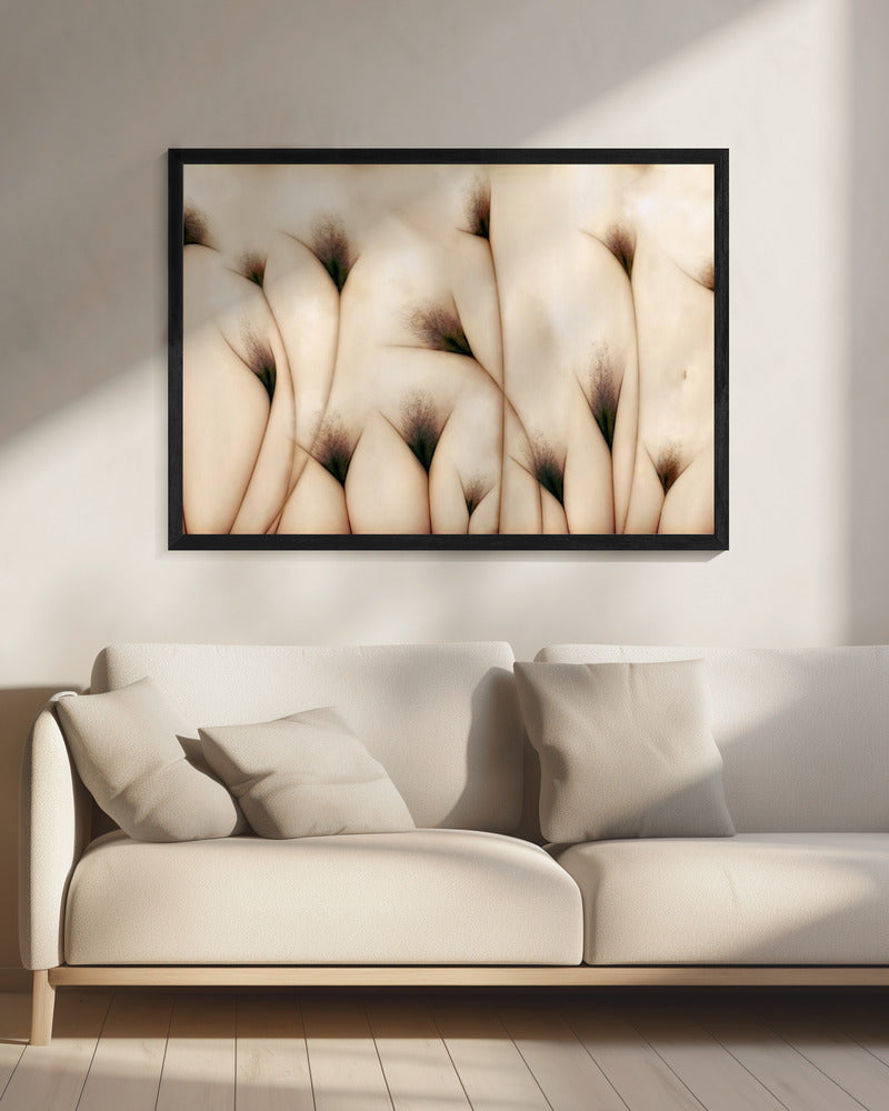 vaginae terram | Canvas