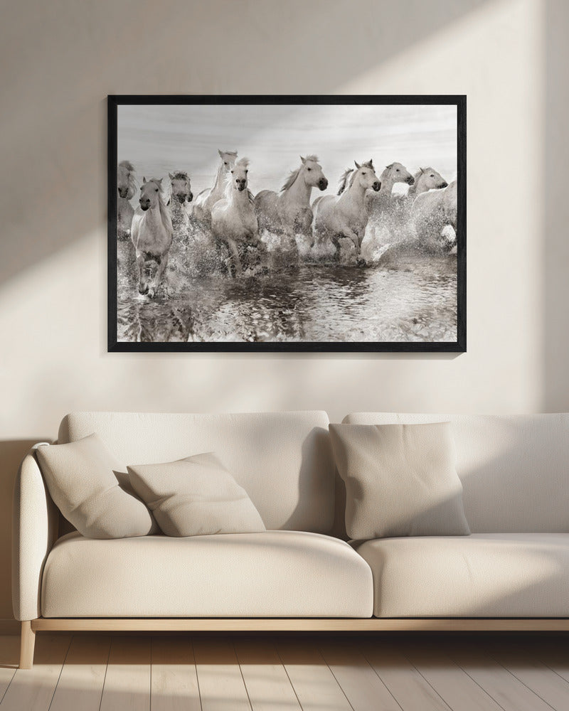 Illusion of power (13 horse power though) | Canvas