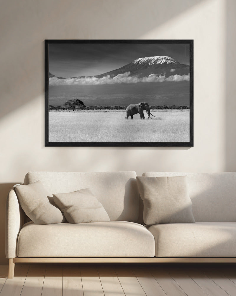 Lost Colors II | Canvas