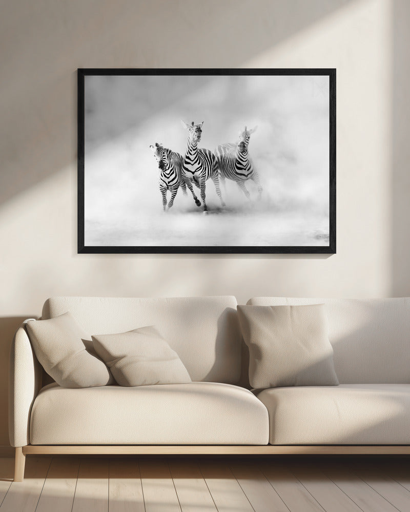 ZEBRAS | Canvas
