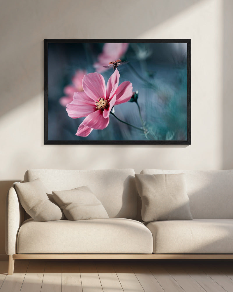 Clair de Terre | Canvas