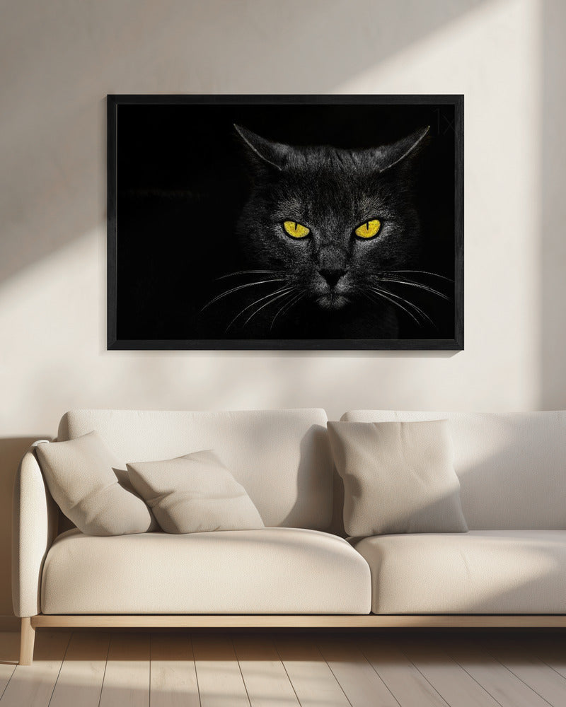Black Cat | Canvas
