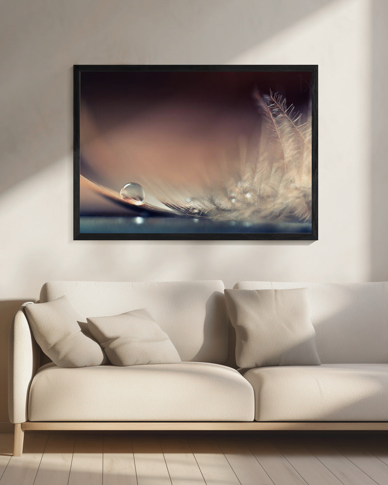 Stories of Drops | Canvas