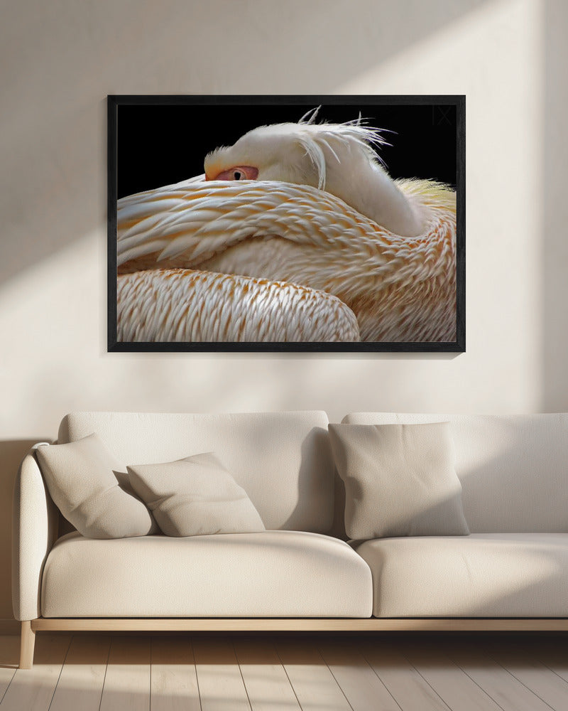 To be half asleep... | Canvas