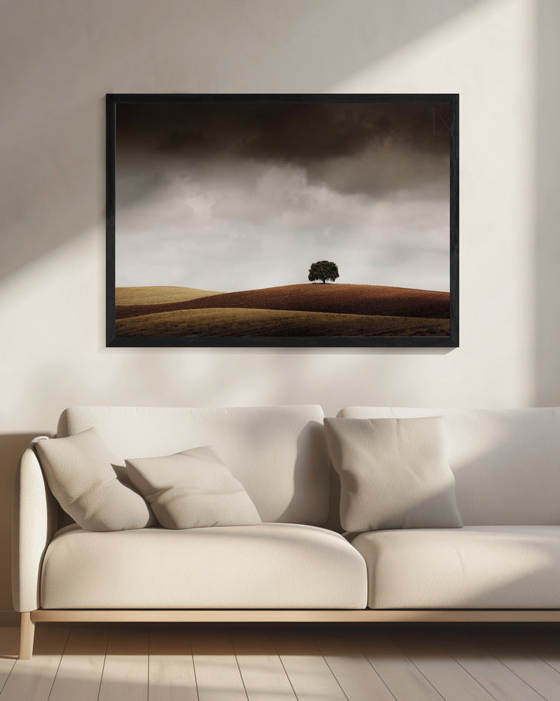 Tuve Que Pararme al Verla | Canvas