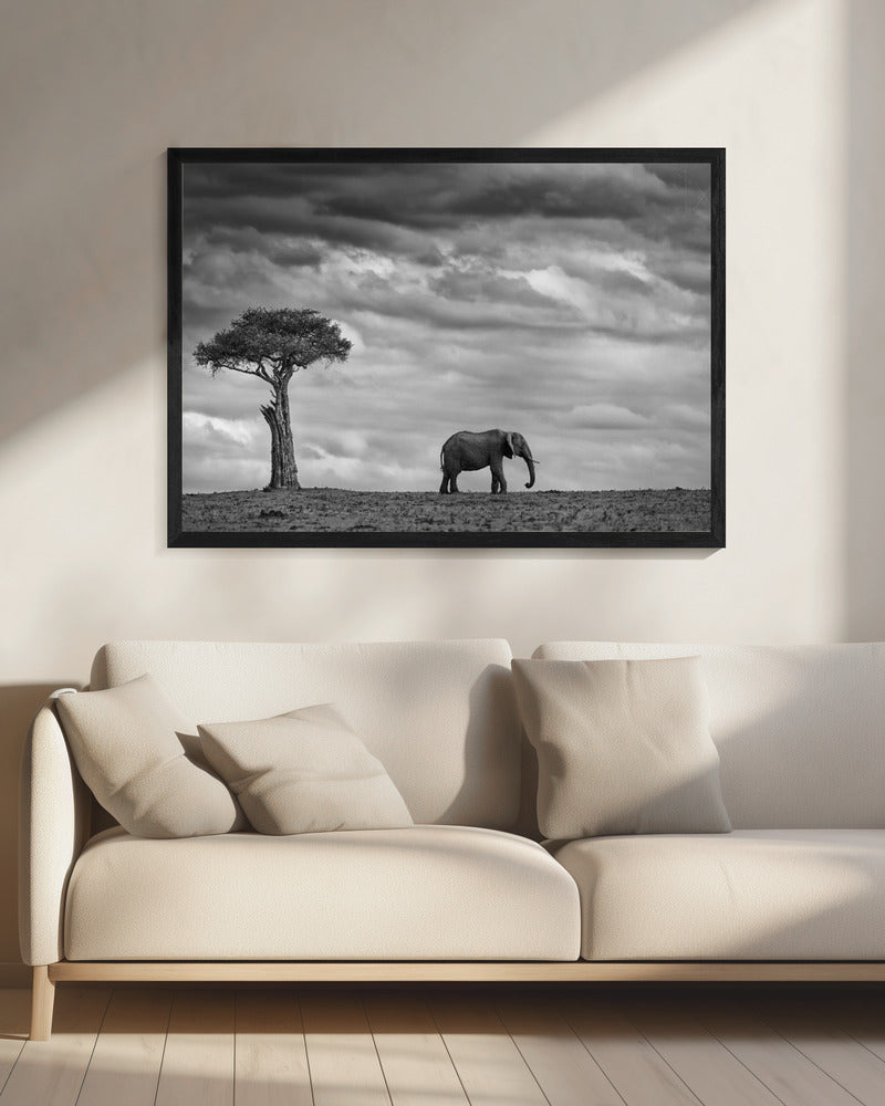 Elephant Landscape | Canvas