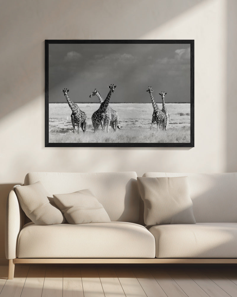 Look Girl Strange Animals | Canvas