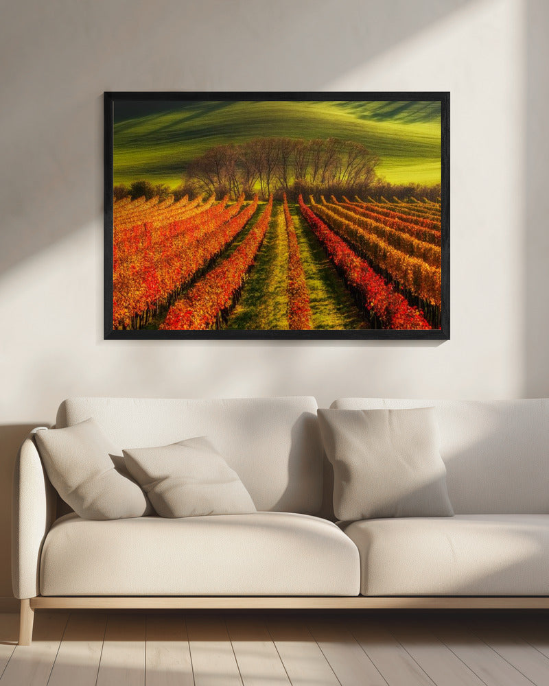 vine-growing | Canvas
