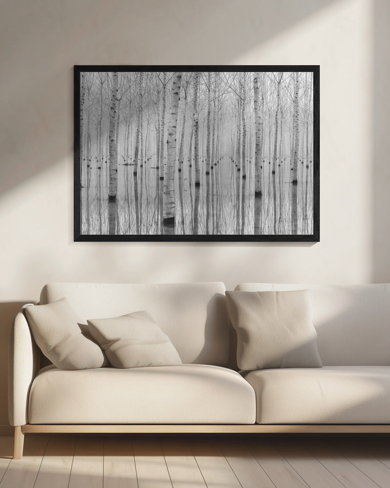 Novembre 2014 | Canvas