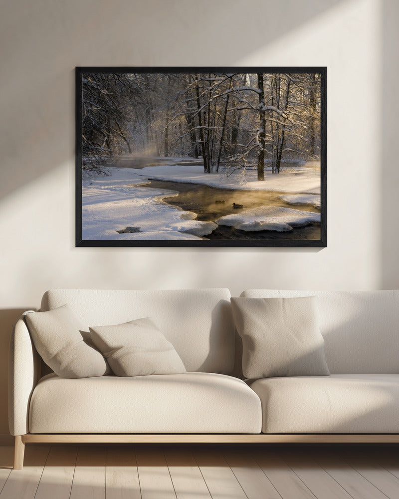 The first light | Canvas