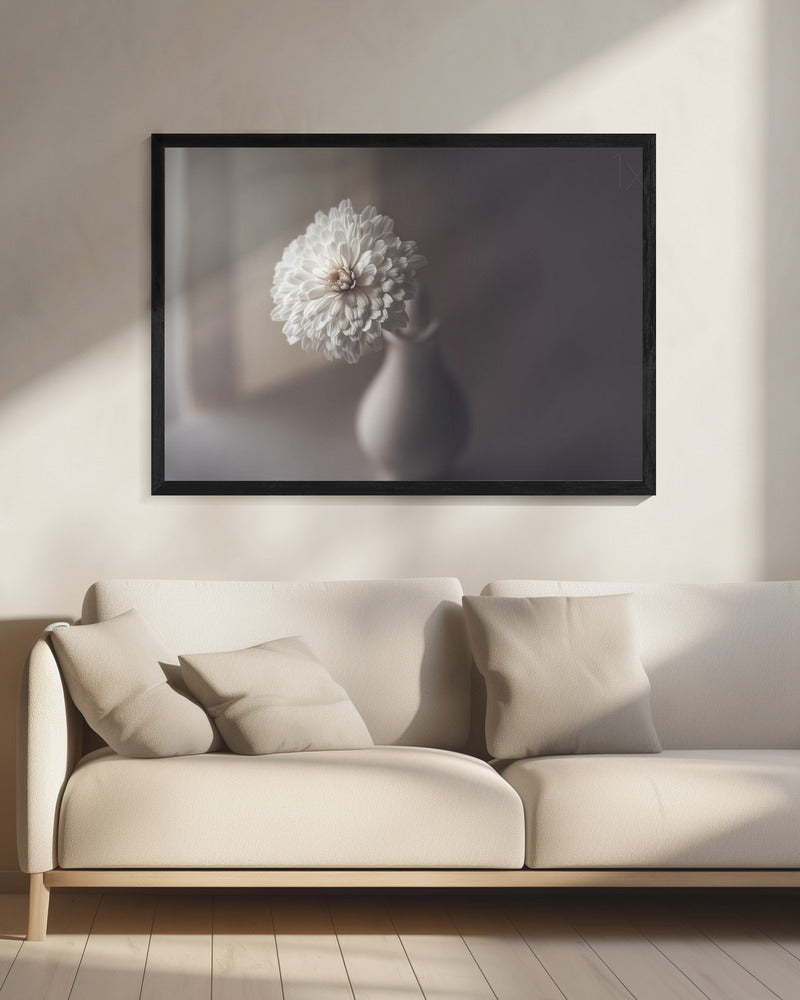 window light | Canvas