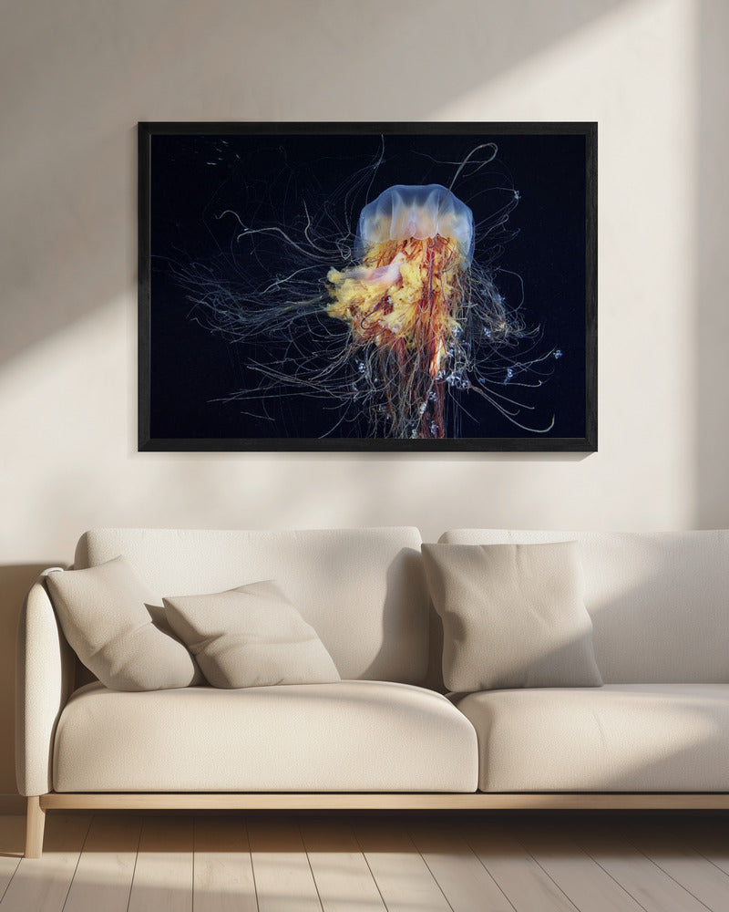 Giant Lion's Mane | Canvas