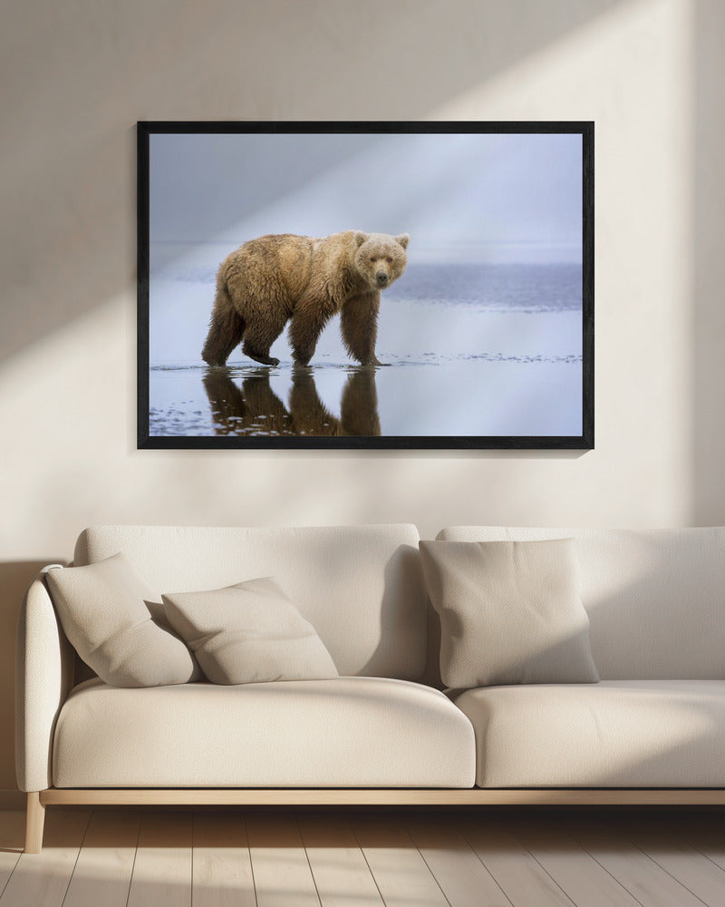 The Bear Walk | Canvas