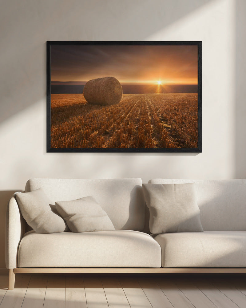 Gold Harvest | Canvas