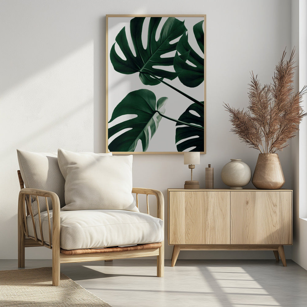Monstera Natural 43 | Poster