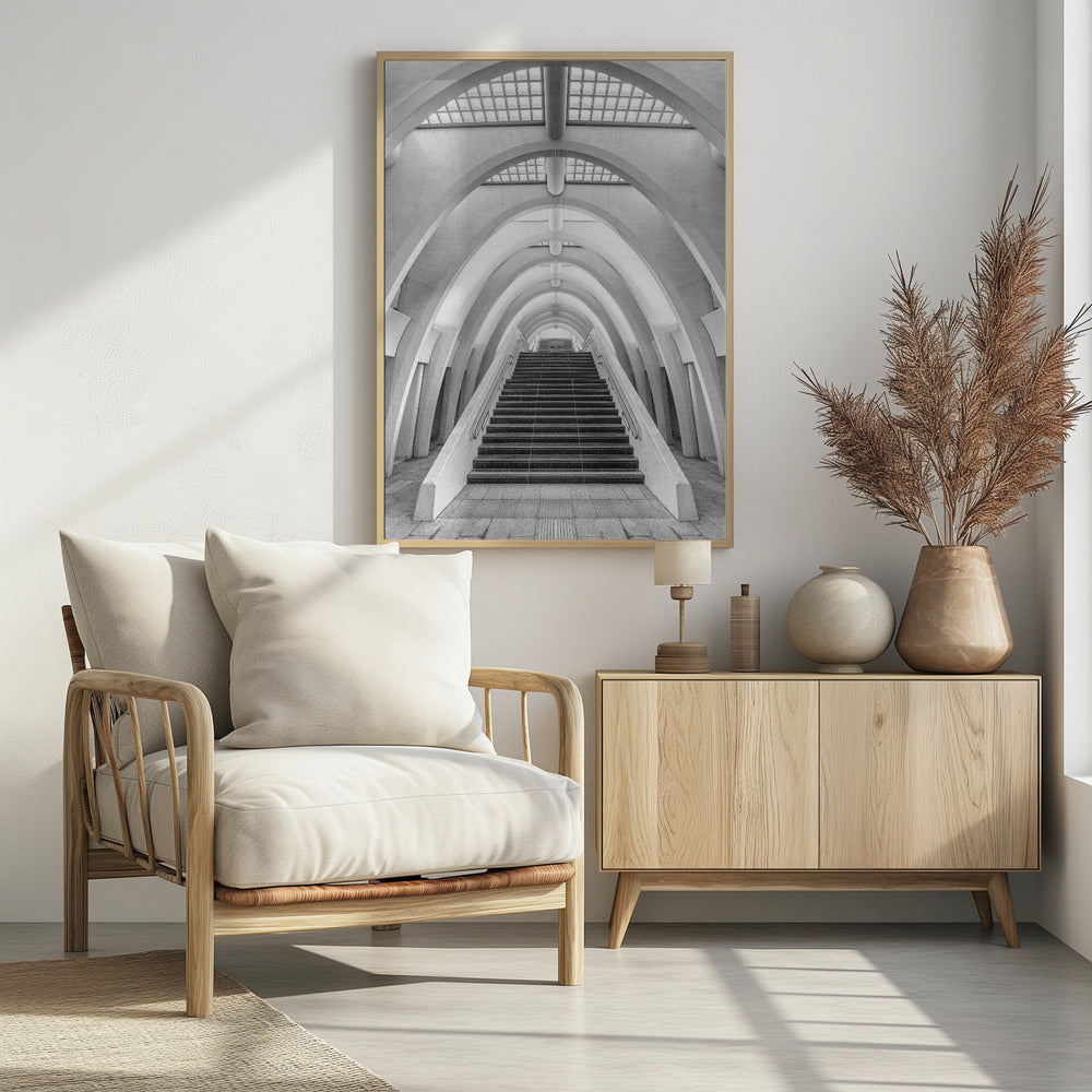 Calatrava lines | Poster