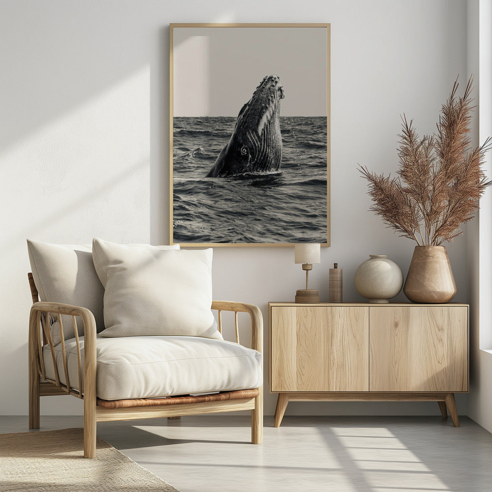Secret of Whale | Poster