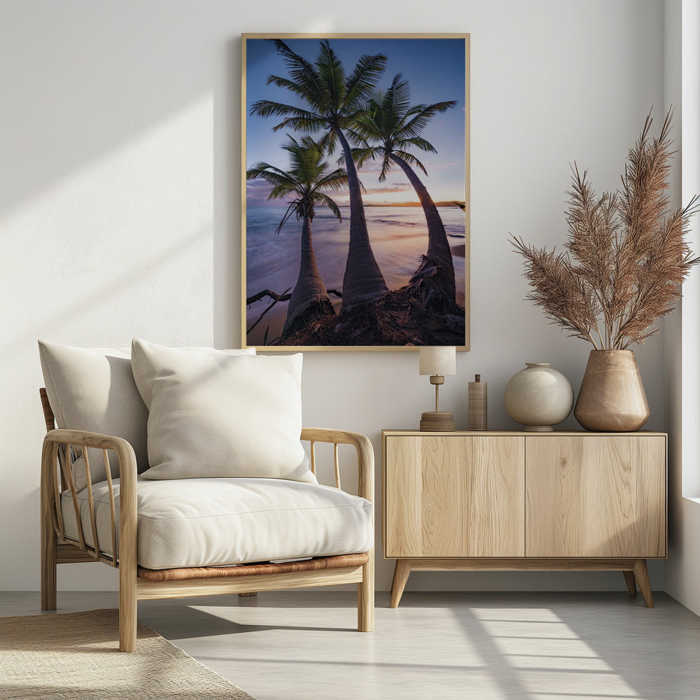 Palmy Twilight | Poster