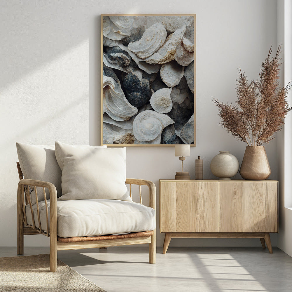 Shells and Stone | Poster