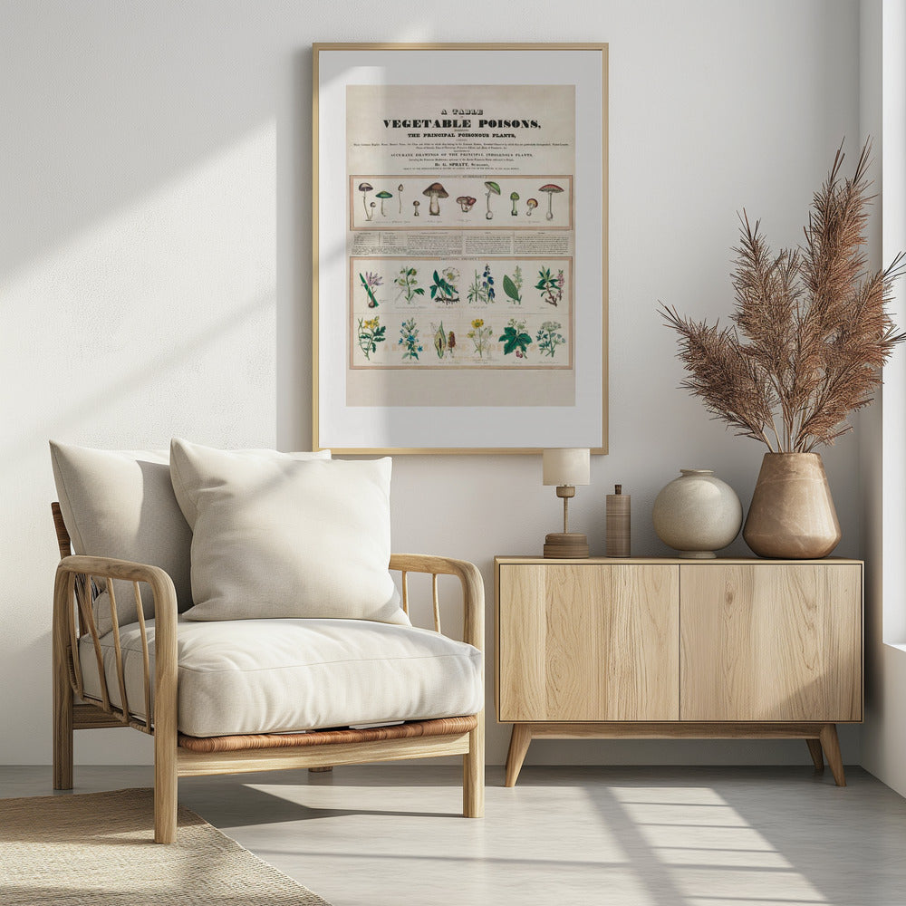 Poisonous Mushrooms Irritating Poisons | Poster