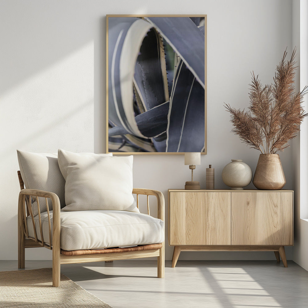 Spiral of Nature | Poster