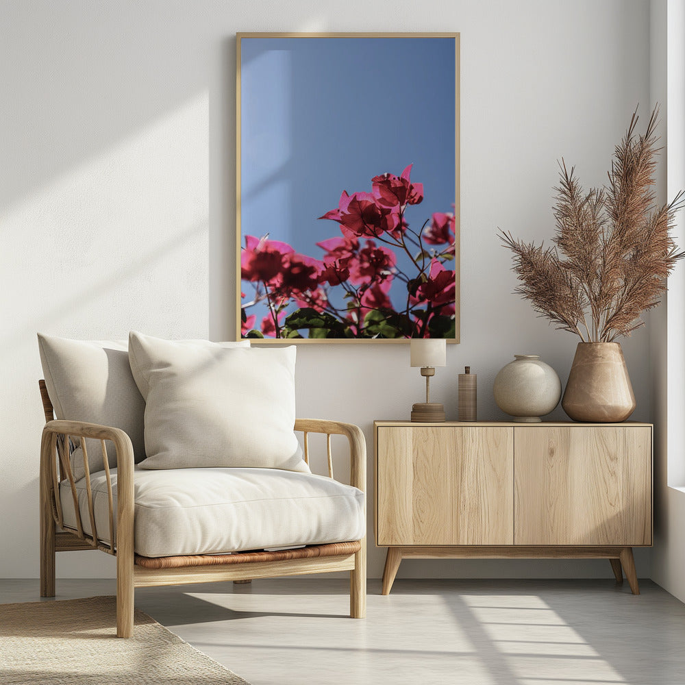 Bougainvillea Bliss | Poster