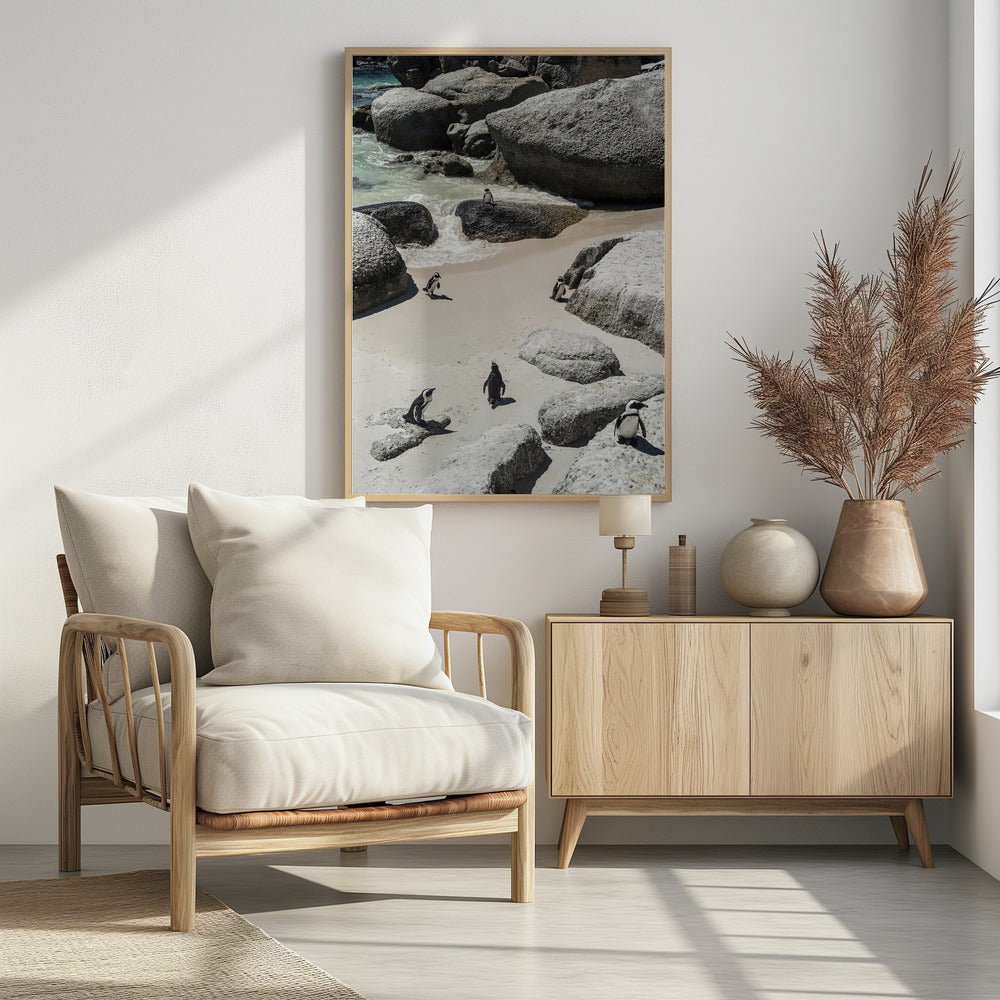 Penguin Beach Stroll | Poster