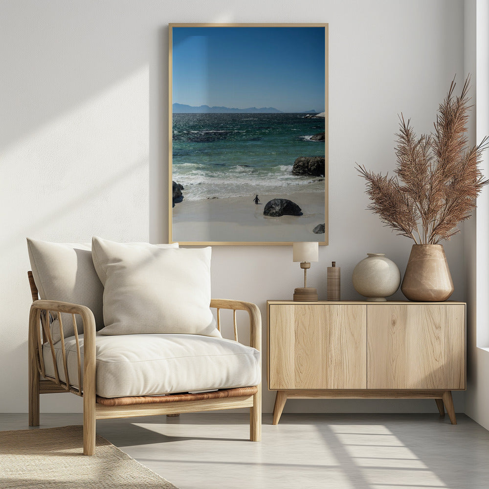 Penguin's Beach Walk | Poster